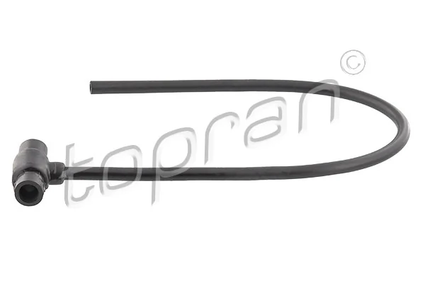 Hose, crankcase ventilation