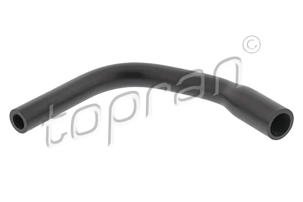 Hose, cylinder head cover ventilation