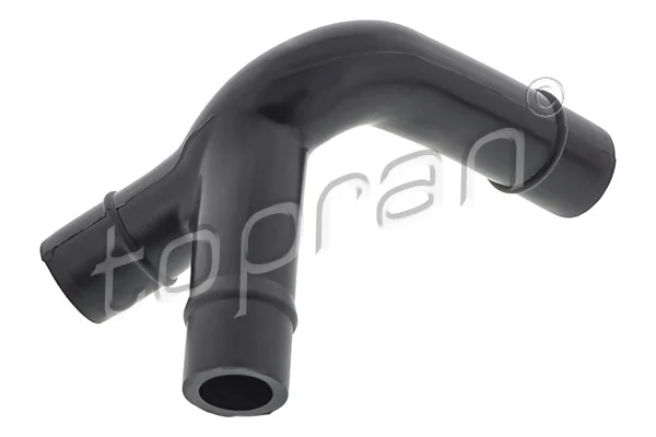 Hose, cylinder head cover ventilation