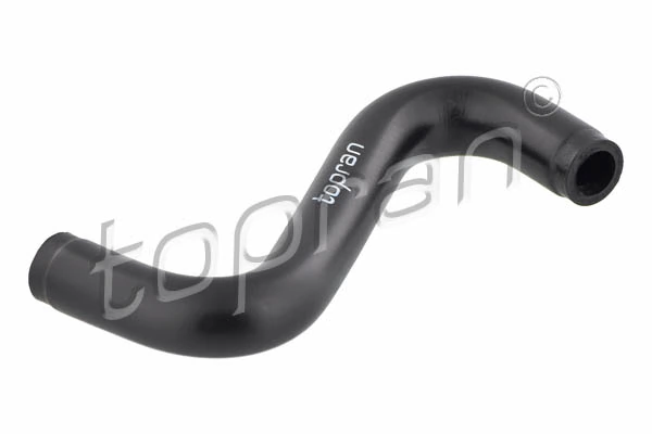 Hose, cylinder head cover ventilation