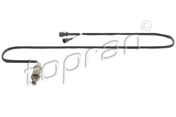 Oxygen Sensor