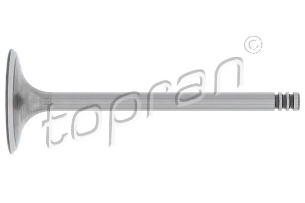 Intake Valve