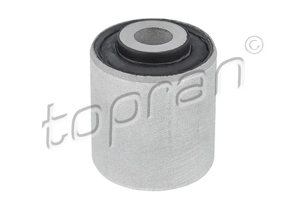 Mounting, control/trailing arm