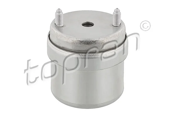 Mounting, engine