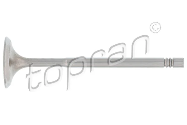 Intake Valve