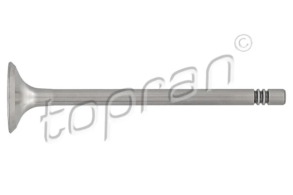 Exhaust Valve