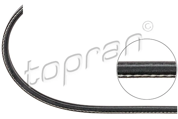 V-ribbed Belt