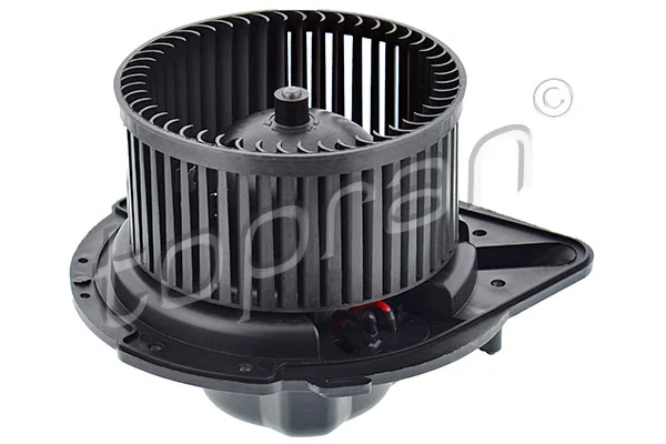 Interior Blower