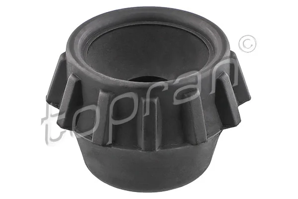 Mounting, shock absorber