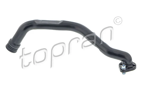 Hose, cylinder head cover ventilation
