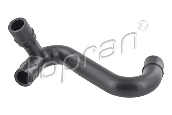 Hose, cylinder head cover ventilation