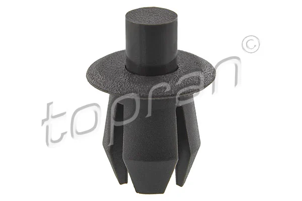 Expanding Rivet