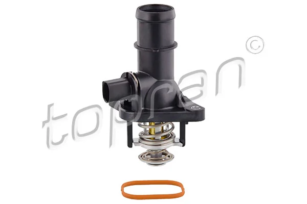 Thermostat, coolant