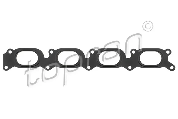 Gasket, intake manifold