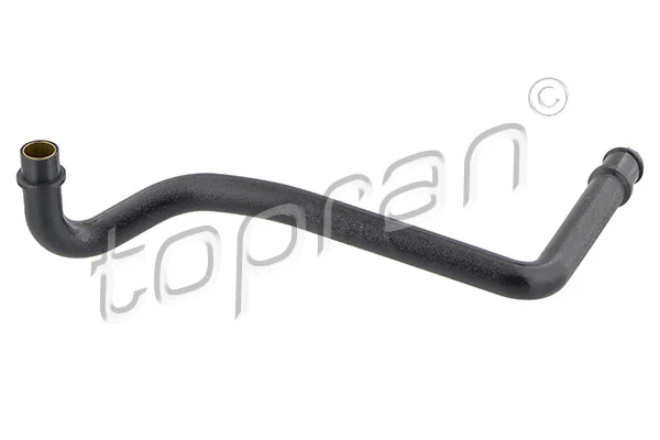 Hose, cylinder head cover ventilation