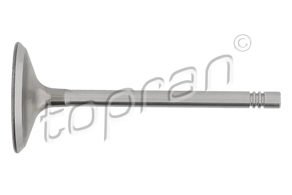 Intake Valve