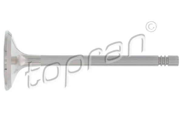 Exhaust Valve