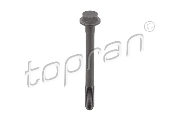 Screw