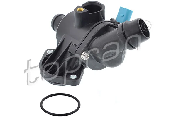 Thermostat, coolant