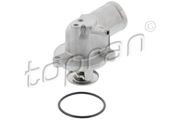 Thermostat, coolant