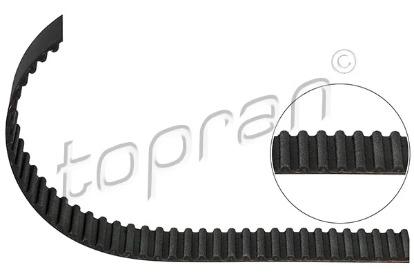 Timing Belt