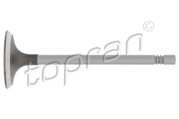 Intake Valve