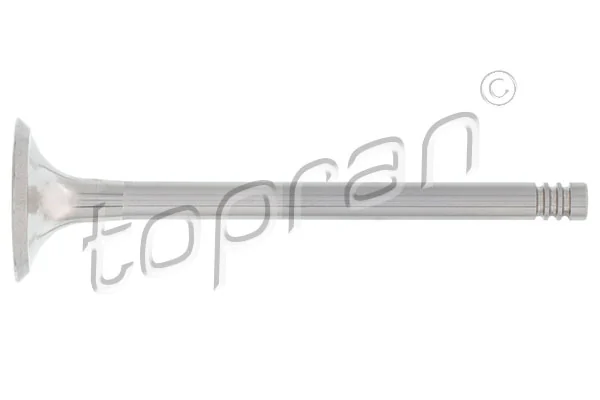 Exhaust Valve