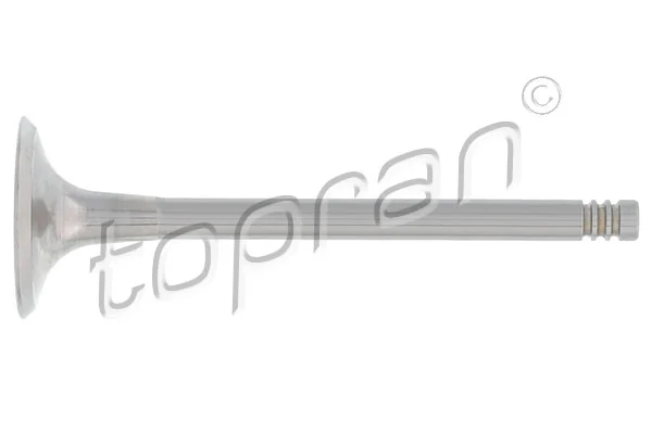 Intake Valve