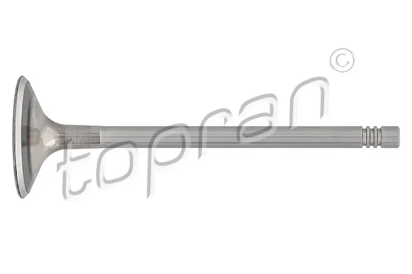 Intake Valve