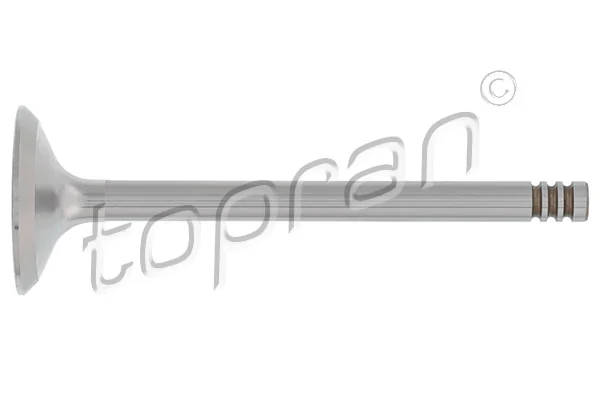 Intake Valve