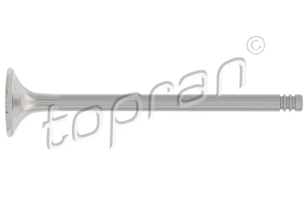 Exhaust Valve