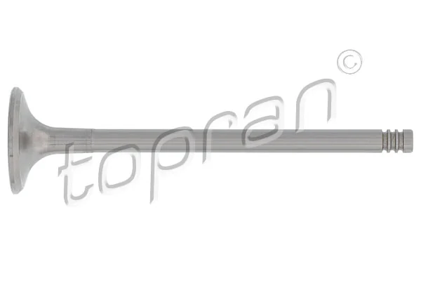 Intake Valve