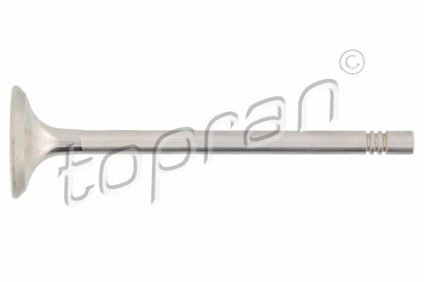 Exhaust Valve