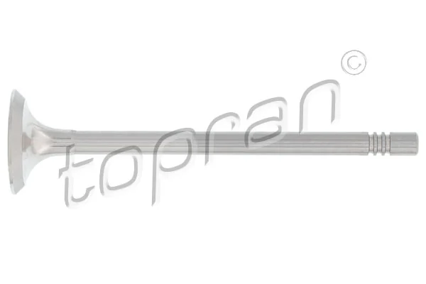 Exhaust Valve
