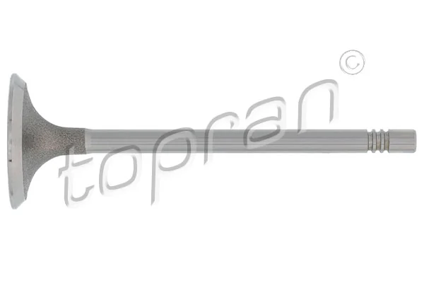 Intake Valve