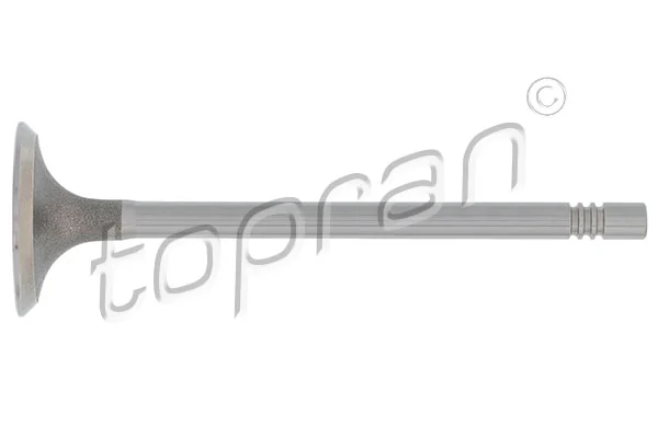 Intake Valve