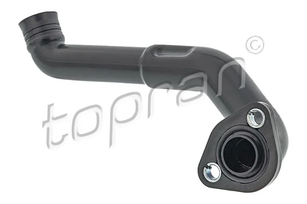 Hose, cylinder head cover ventilation