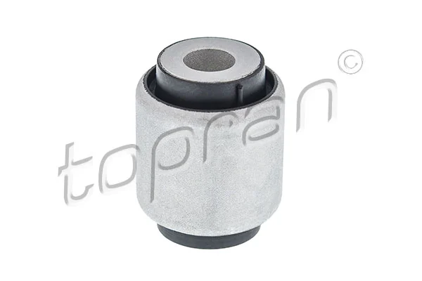 Mounting, control/trailing arm