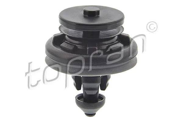 Retaining Clip, door panel