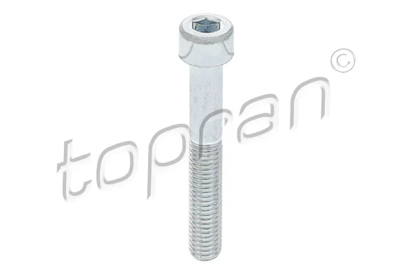 Bolt, brake caliper