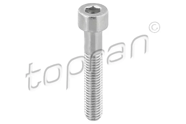 Bolt, brake caliper