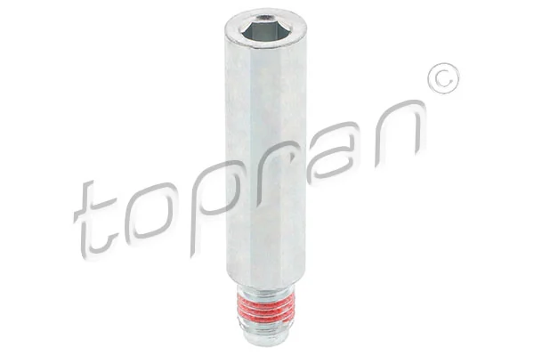 Bolt, brake caliper
