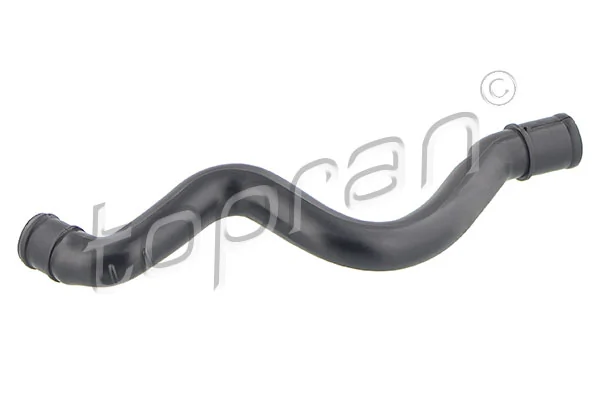 Hose, cylinder head cover ventilation