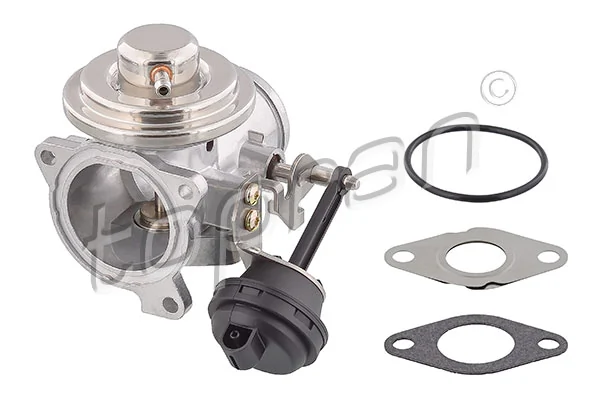 EGR Valve