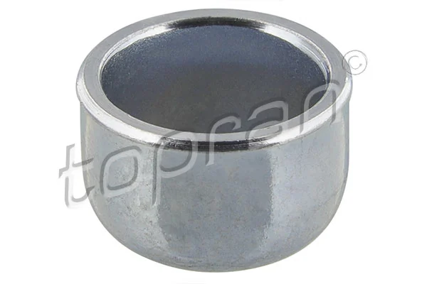 Frost Plug