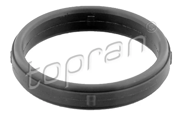 Gasket, intake manifold
