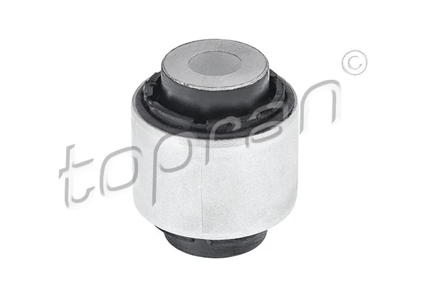 Mounting, control/trailing arm