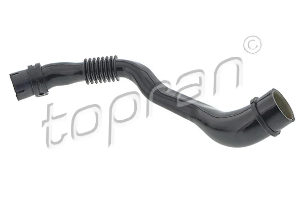 Hose, cylinder head cover ventilation