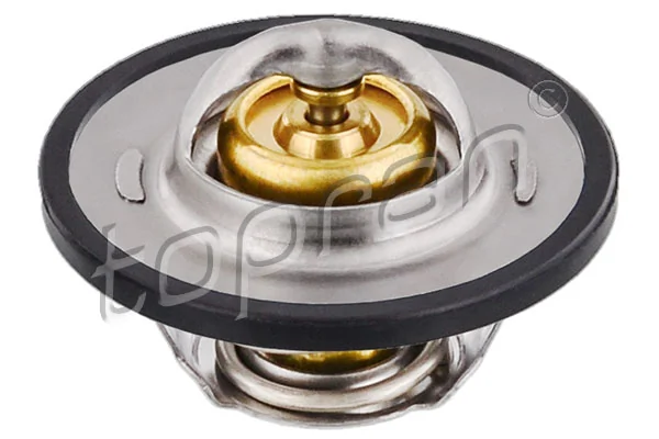 Thermostat, coolant