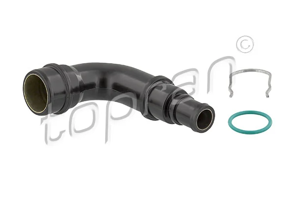 Hose, cylinder head cover ventilation